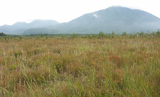 senjyogahara.jpg