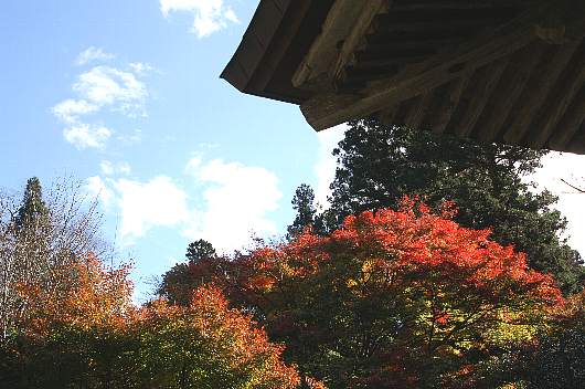 yamizo0-2.jpg