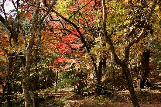 yamizo1-1.jpg