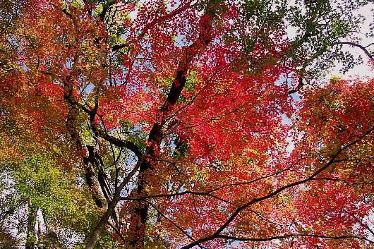 yamizo1-3.jpg