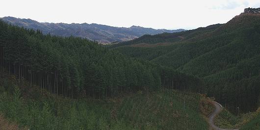 yamizo3-2.jpg