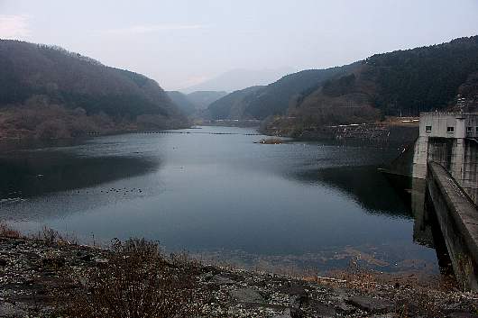 terayamadamu.jpg