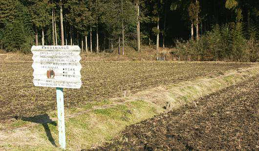 zazen2.jpg