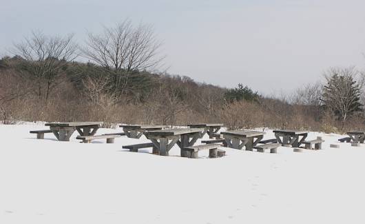 takahara2.jpg