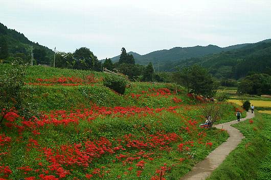 minosawa1.jpg