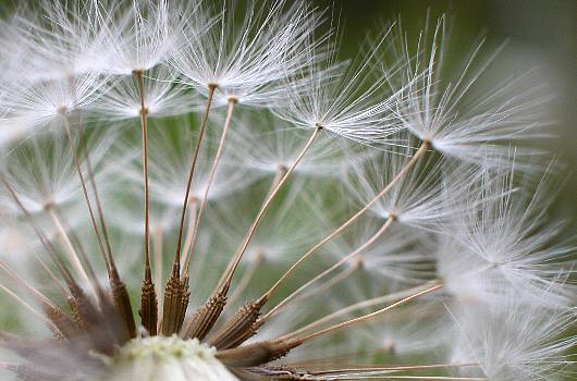 watage.jpg