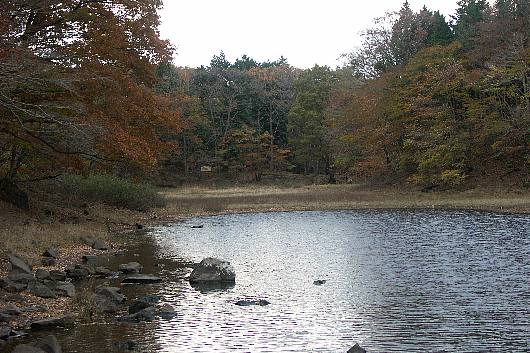 onuma1.jpg