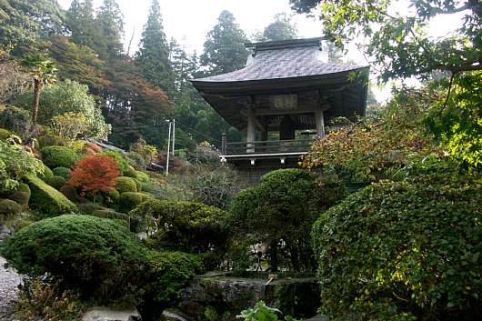 unganji1.jpg