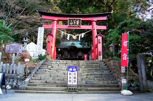 torinoko1.jpg