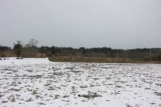 nasu01.jpg