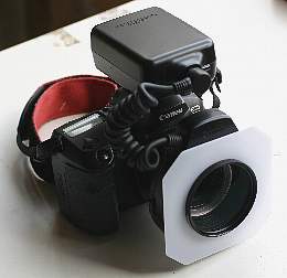canon4.jpg