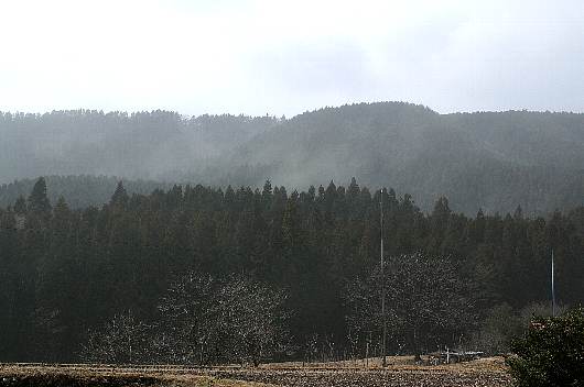 kafun.jpg