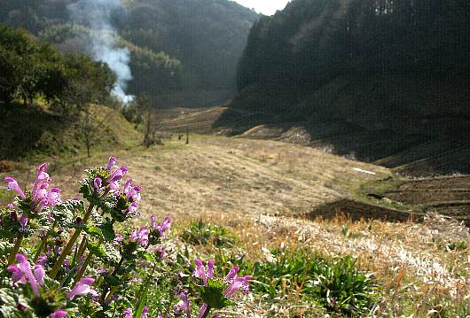 kunimi1.jpg