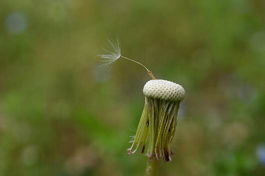 watage1.jpg