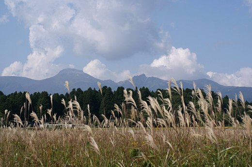 nasuno1.jpg
