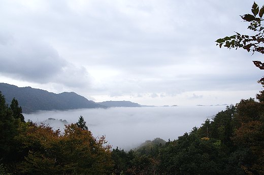 okukuji1.jpg