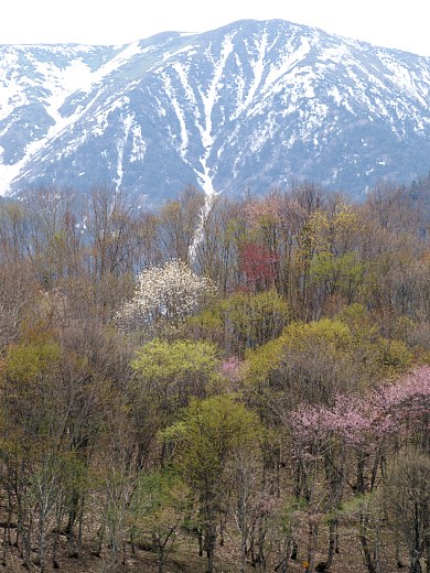 kannon2.jpg