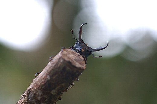 PICT6592-1.jpg