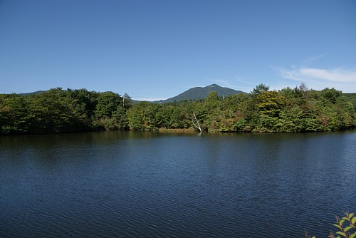 hapoaki4.jpg