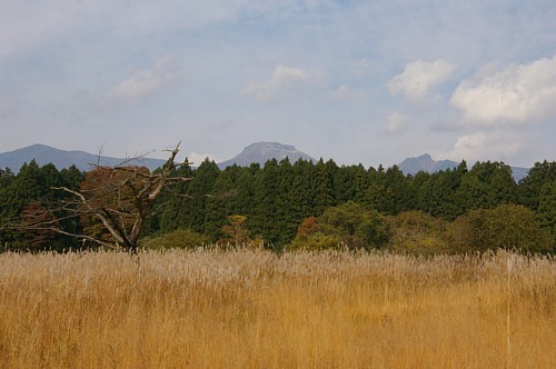 nasuno1.jpg