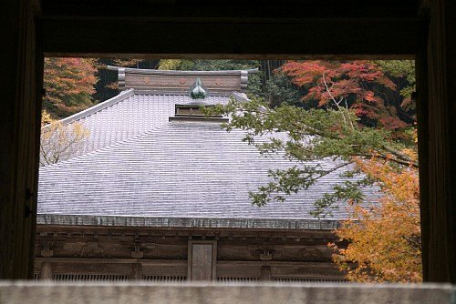 unganji1.jpg