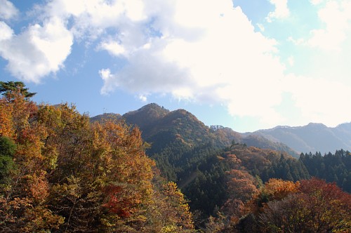 okukuji1.jpg