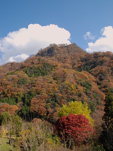 okukuji2.jpg