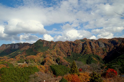okukuji2.jpg