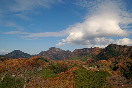 okukuji1.jpg