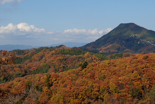 okukuji3.jpg