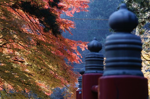 unganji2-3.jpg