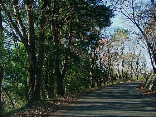 wanomiti1.jpg