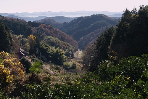 wanomiti4.jpg