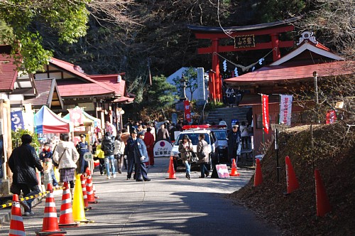 torinoko1.jpg