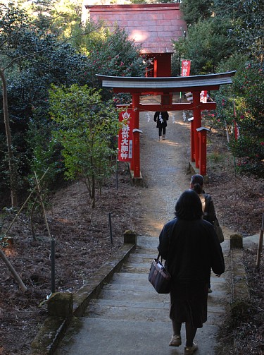 torinoko3.jpg