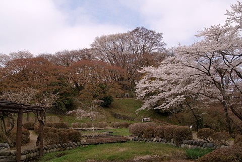 0416-1.jpg