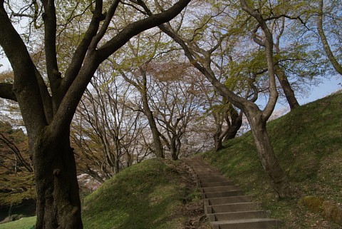 0416-3.jpg