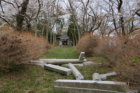 0416-2.jpg