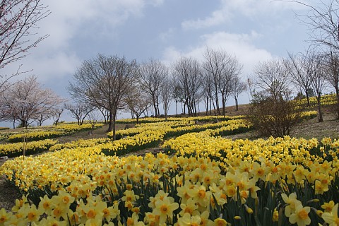 0416-4.jpg