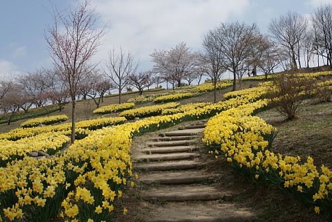 0416-5.jpg