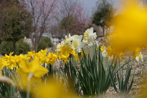 0416-6.jpg
