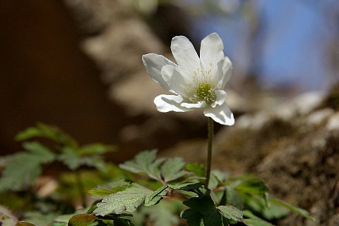 0418-6.jpg