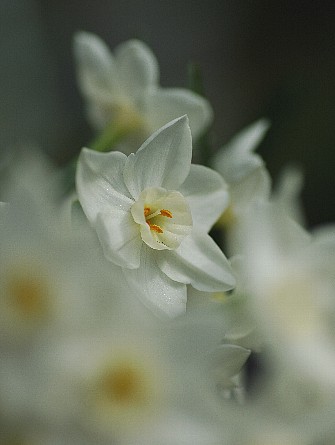 0420-2.jpg
