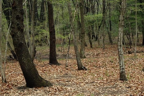 0423-1.jpg