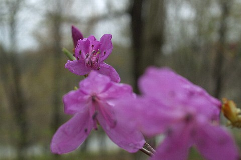 0423-2.jpg