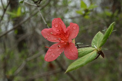 0423-3.jpg
