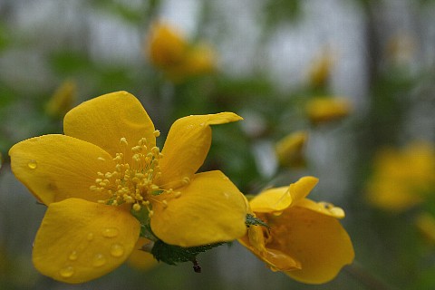 0423-4.jpg