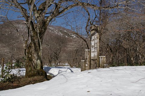 0424-2.jpg