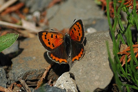 0427-2.jpg