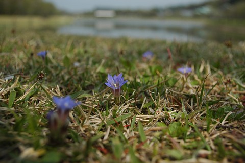 0428-2.jpg